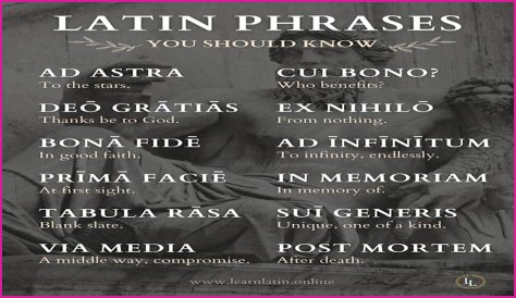 A Profile Of A Latin Beauty