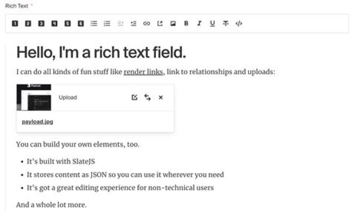 How do I insert a rich text field in Word?