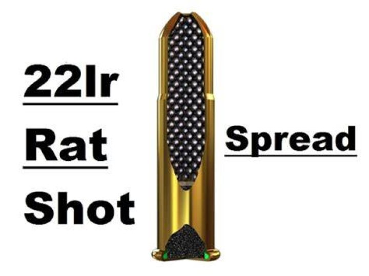 How far is 22 rat shot effective?