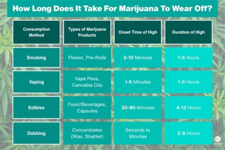 How long does it take for LOC to bud?
