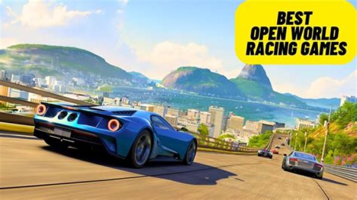 Is there any open world driving game?