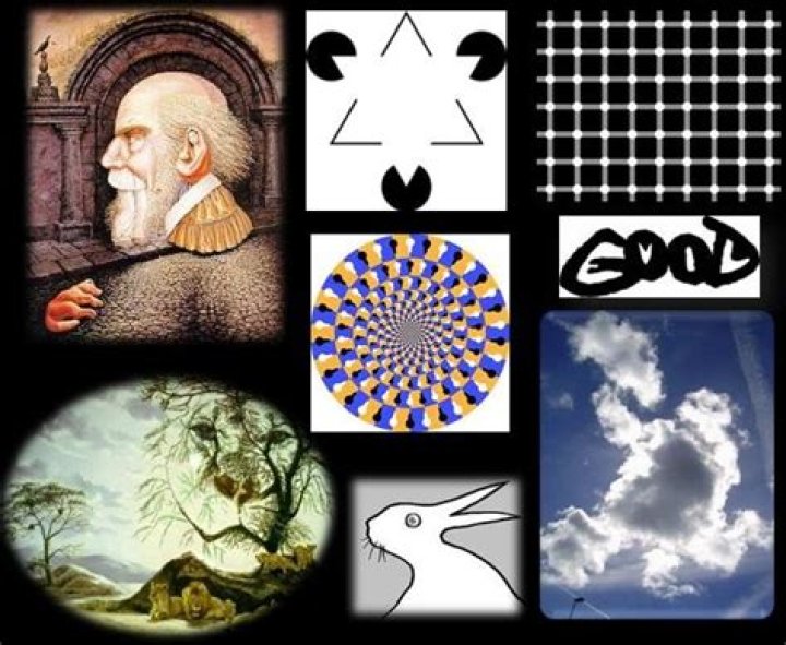 What are perceptual illusions?