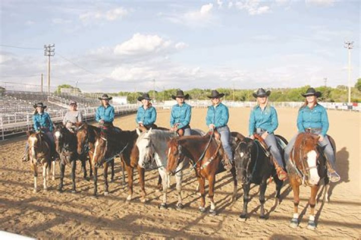 What does a horse drill team do?