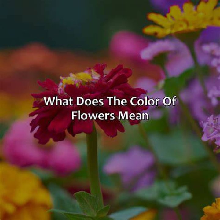 What does withering flowers mean?