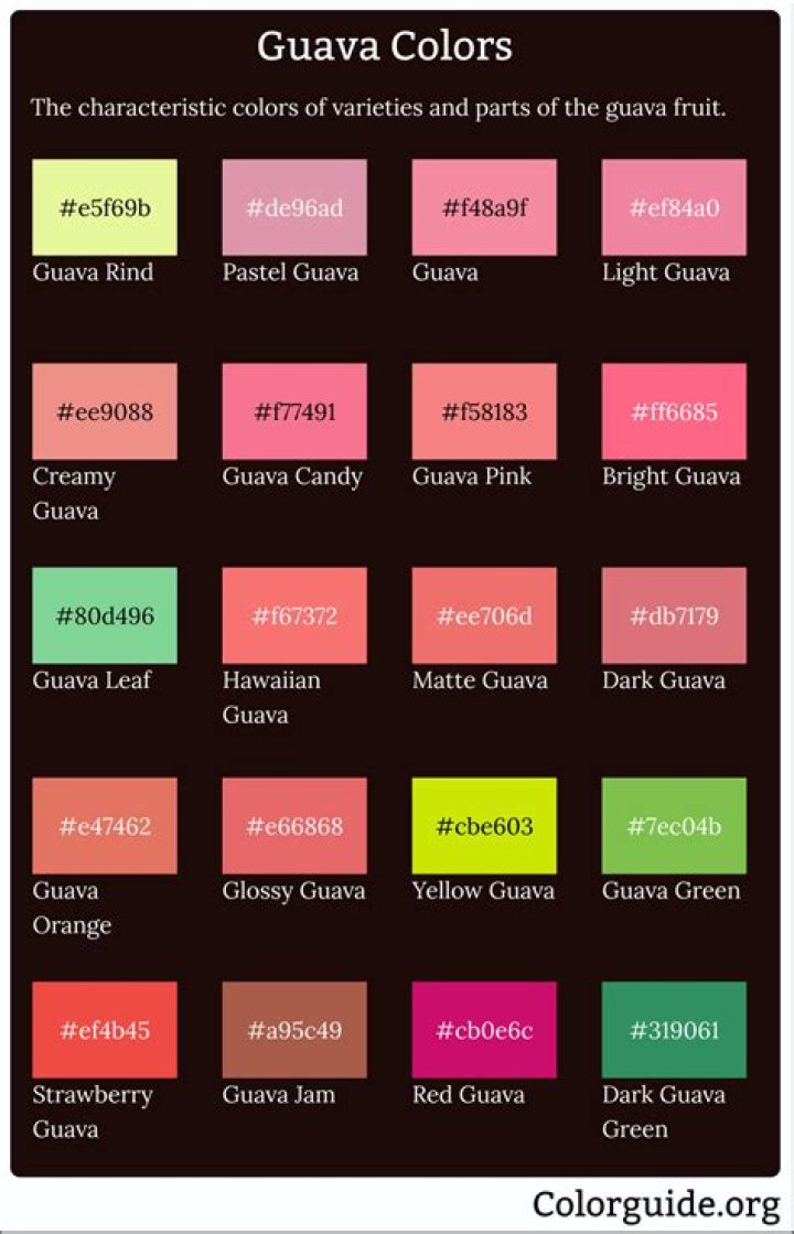 What is guava maven?