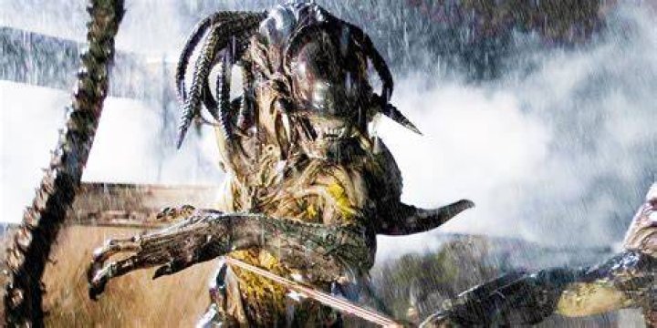 What is the alien Predator hybrid called?
