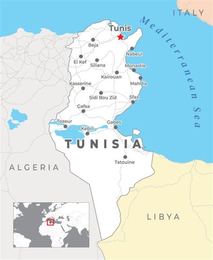 Which countries share Tunisia borders?